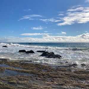 Bundle for katt42222